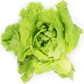 LARGE PACKAGE (pcs.) - ORGANIC FRESH BUTTER LETTLE (approx. 8 pcs.)